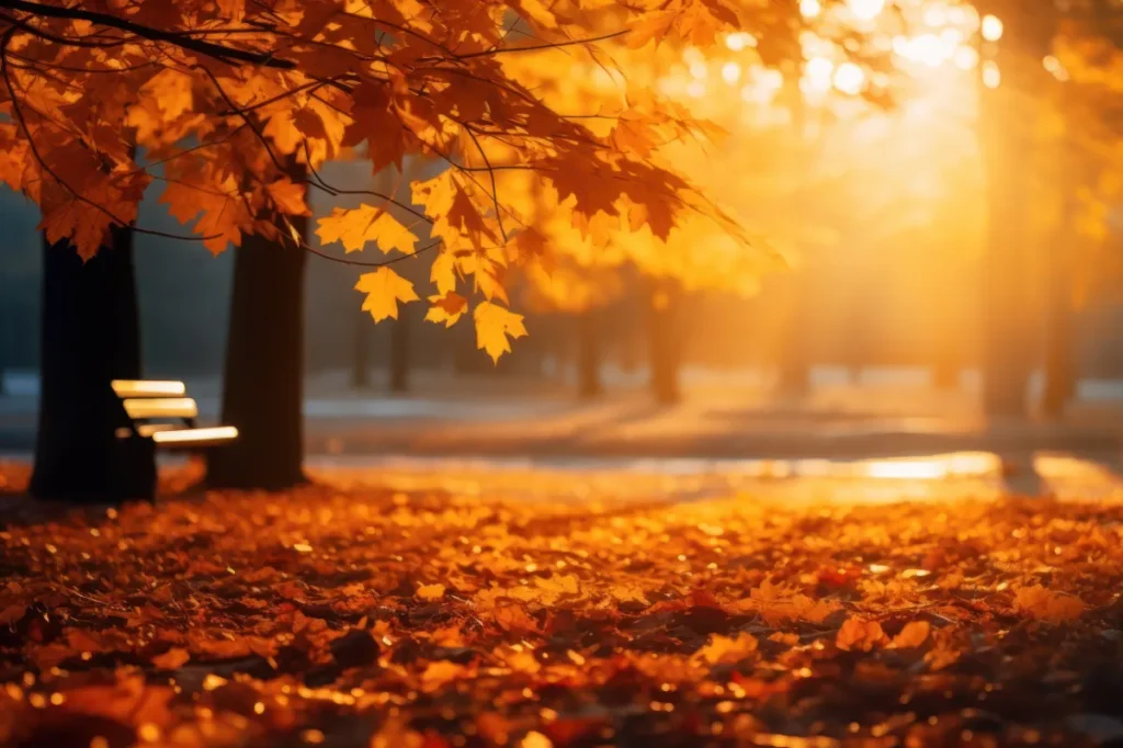 Autumn Budget