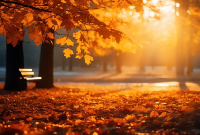 Autumn Budget