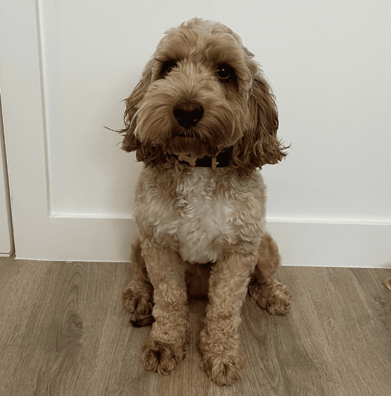 Oliver